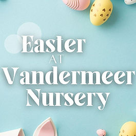 Vandermeer Nursery Easter Egg Hunt & Bunny Bowl