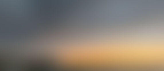 The Top and Best 30 Enjoyable Things to Do, Activities and Attractions in Naples, Florida (2025)