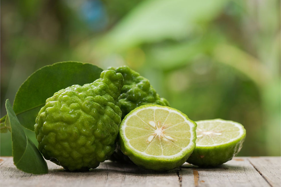 Bergamot: The Symbol of Reggio Calabria