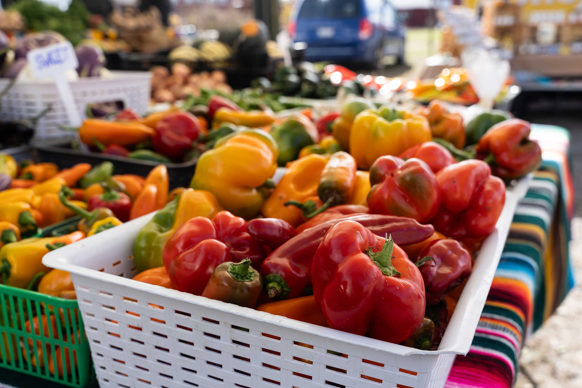 Colorful peppers