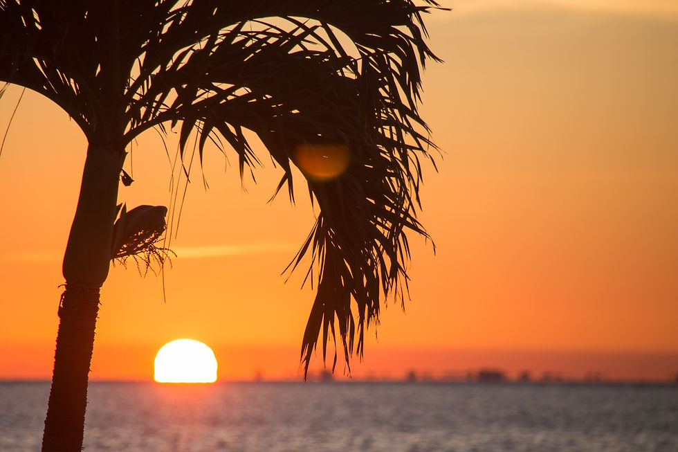 The Florida Keys