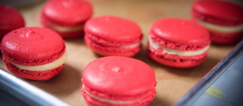 Indulge in Sweet Creativity at Chocolate Tales Workshops in Toronto