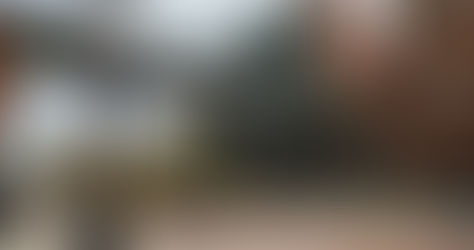 Discovering Toronto’s Distillery District: A Blend of History and Modernity (2025)