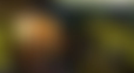 🎄 Christmas & Holiday Events in Austin & Central Texas