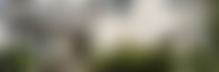 A Journey Through Time: Visiting Spadina House in Toronto