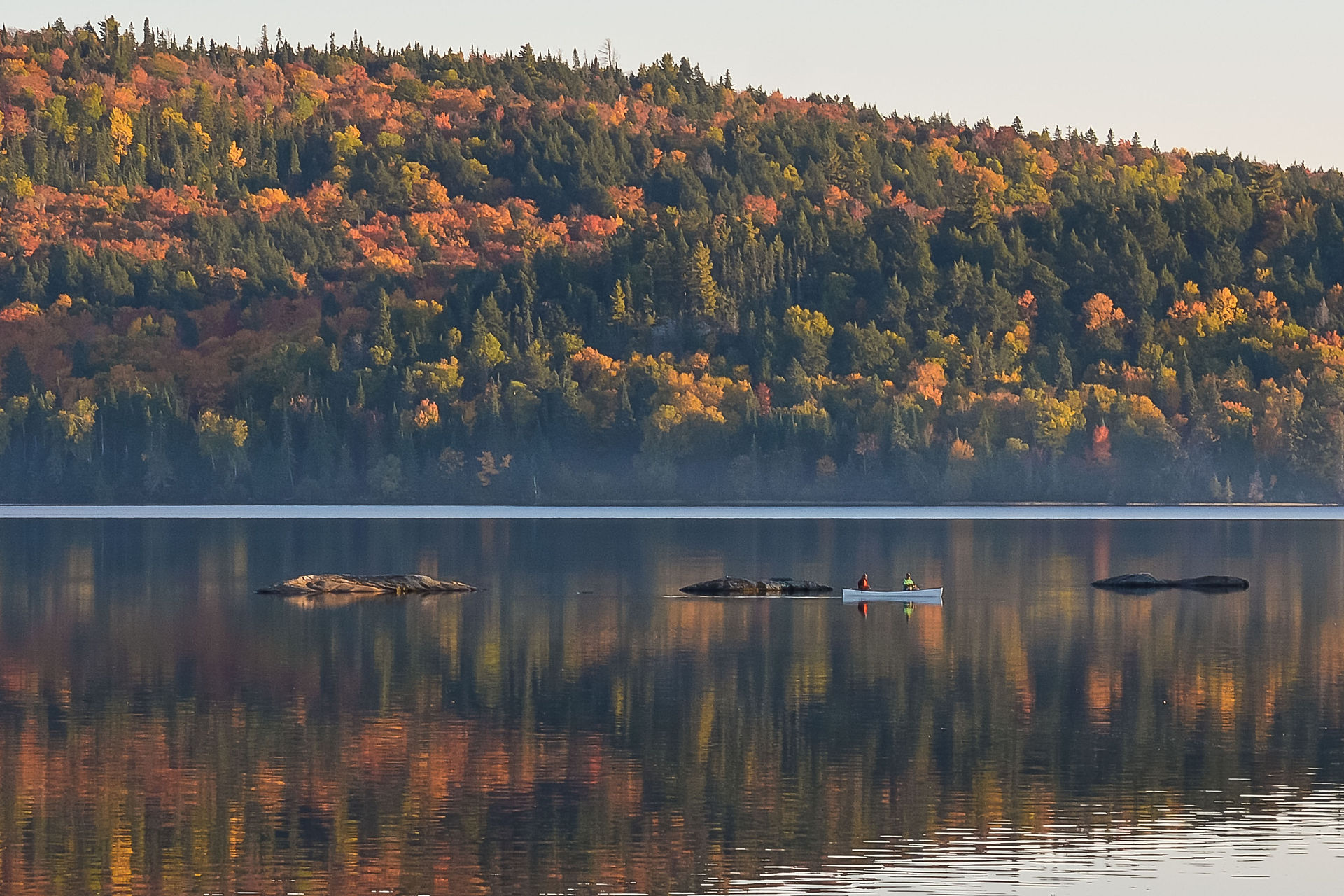 Fall colours