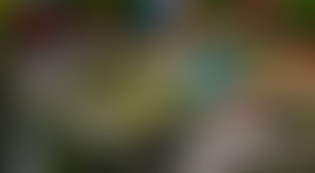 Exploring Little Canada: A Miniature Journey Through the Great White North (2025)