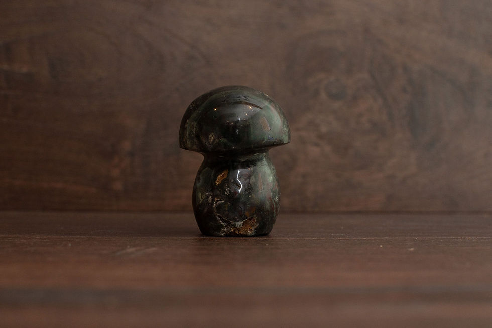 Ocean Jasper Mushroom