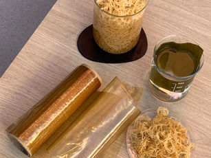 Life Cycle Assessment of Pilot Scale Production of Seaweed-Based Bioplastic