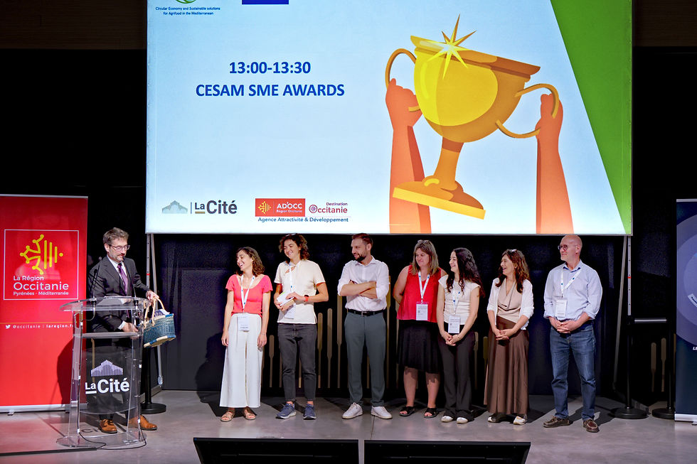 Best Innovation Award at the CESAM Project Finale