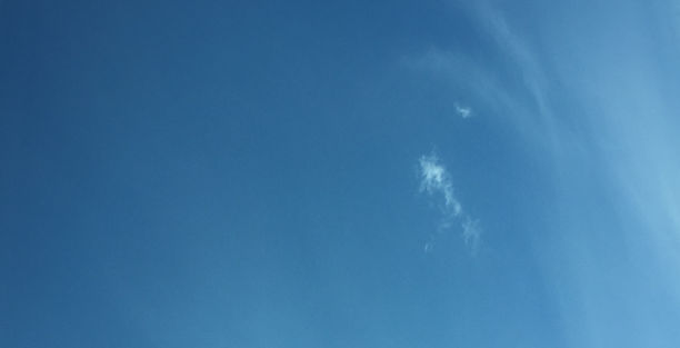blue skies window cleaning