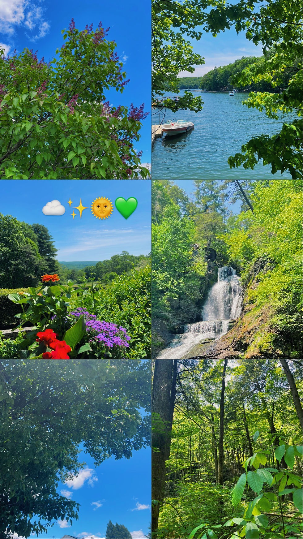 Aesthetic Nature Wallpaper for iPhone