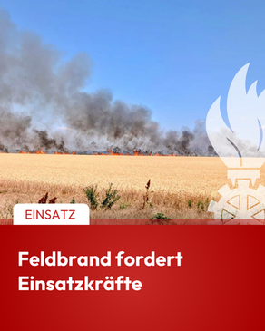 Ausgedehnter Feldbrand fordert 10 Feuerwehren und 120 Einsatzkräfte