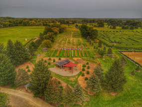 Photo_1080295460_DJI_36_jpg_6357293_0_202191119444_photo_original.jpeg