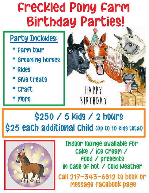 birthday party flyer 1 (rides).pdf.png