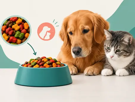 Ração com corante causa sintomas no seu pet?