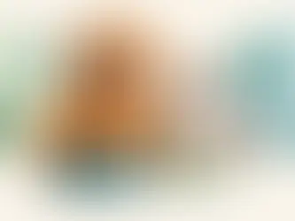 Ração hipoalergênica funciona para cães e gatos?