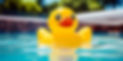 AdobeStock_797528987-LR.jpg