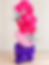 Pink and purple balloon column with silver foil stars