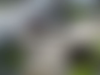 DW Project Review: Cozy Firepit and Patio in Bedford NH 