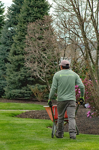 commercial spring cleanups (1)-2.jpg