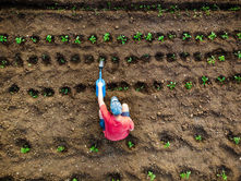 "The Benefits of Regenerative Agriculture":