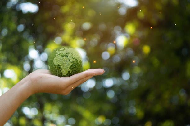 sustainable products, green manufacturing, renewable energy, waste reduction, sustainable materials, sustainability, eco-friendly, environmentally friendly, corporate social responsibility, sustainable business practices, green technology, circular economy, sustainable development, sustainable design, sustainable production, energy efficiency, carbon footprint, environmental impact, sustainable sourcing, sustainable supply chain, sustainable packaging, green products, sustainable manufacturing, sustainable innovation, sustainable solutions, sustainable consumption, sustainable future, sustainable living, sustainable economy, sustainable entrepreneurship