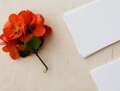 The Importance of Building Relationships in Affiliate Marketing.
