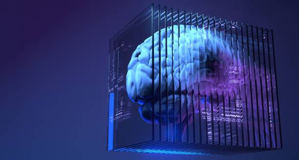 AI, machine learning, deep learning, neural networks, natural language processing, computer vision, data science, big data, predictive analytics, automation, robotics, chatbots, virtual assistants, autonomous vehicles, facial recognition, ethics, responsible AI, explainable AI, transparency, bias, security, privacy, IoT, edge computing, cloud computing, quantum computing, personalized medicine, precision agriculture, smart cities