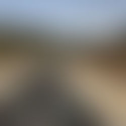 ״אין לעיריה חזון אסטרטגי שעוסק באיך הופכים את האופניים לכלי תחבורה מן המניין״