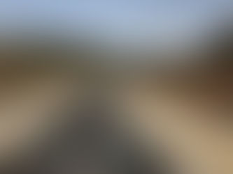 ״אין לעיריה חזון אסטרטגי שעוסק באיך הופכים את האופניים לכלי תחבורה מן המניין״