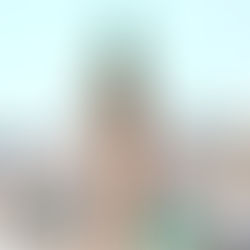 מספר המצביעים בבחירות לכנסת בבית צפאפא - הוכפל