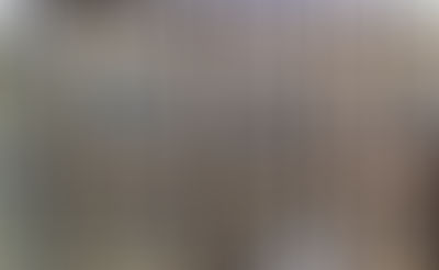 ״לא ימכר ולא יגאל״ - עד העיסקה הסיבובית