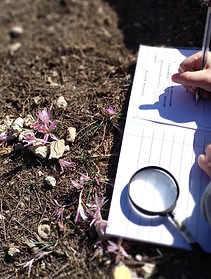 76762573_736416020168834_705994629488574