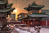 c65ce355-4cb1-4dd8-a5f3-8dc1ec3e750d_native.jpg