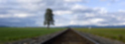 traintracks.jpeg