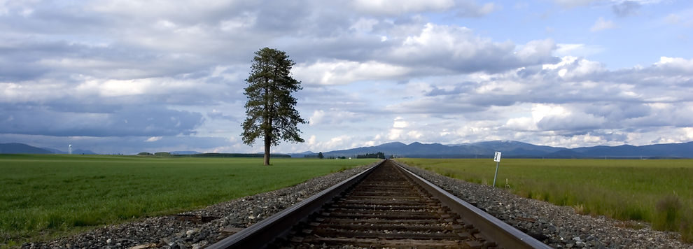 traintracks.jpeg