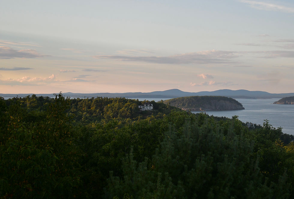 DSC_2707.jpg