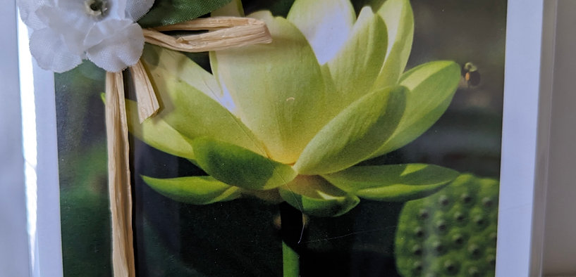 Floral Note Card Set