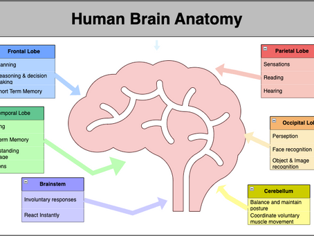 Wonder How Agentic AI Works?