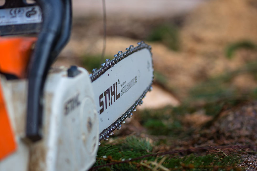 TREE SURGERY & VEGETATION MANAGEMENT