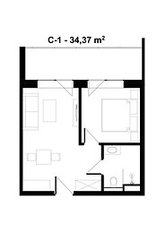 C-1 Classic-.jpg