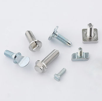 Special Head Screws