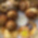 European Pastry Assortment