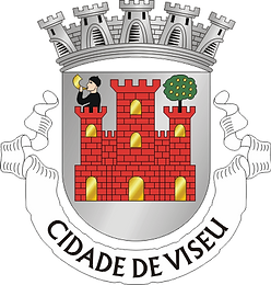 Viseu