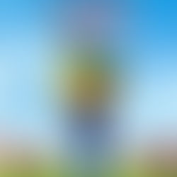 Gnomeo & Juliet (February 11, 2011)