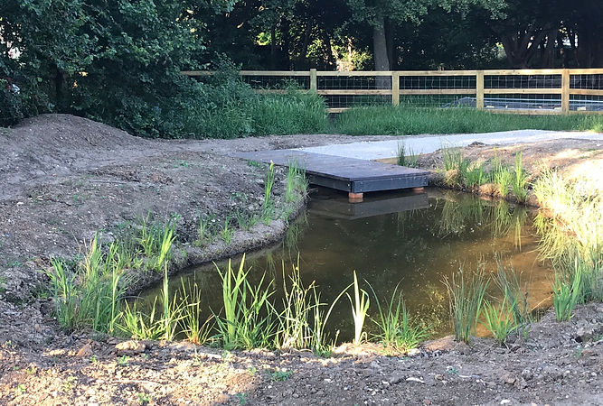 Pond.jpeg