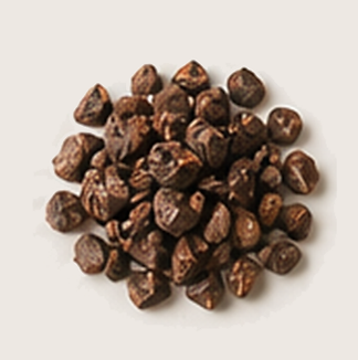 Cacao Nibs.png