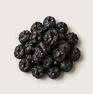FD Blueberries.png