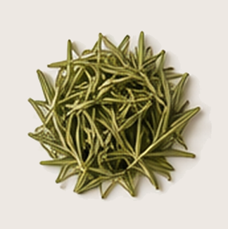 Rosemary Leaf.png